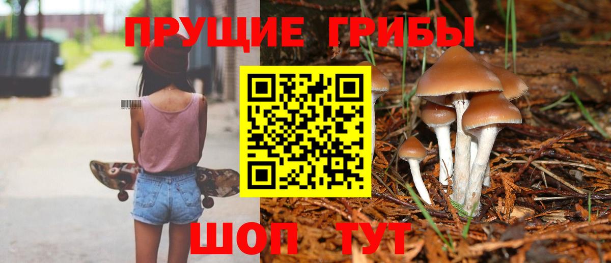Галлюциногенные грибы MAGIC MUSHROOMS  Вход с VPN  Кушва 
