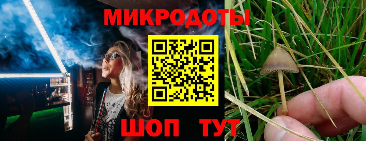 Псилоцибиновые грибы Psilocybe Кушва
